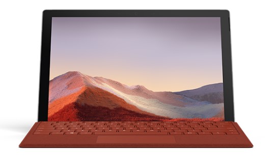 陈巴尔虎清洁和维护 Surface